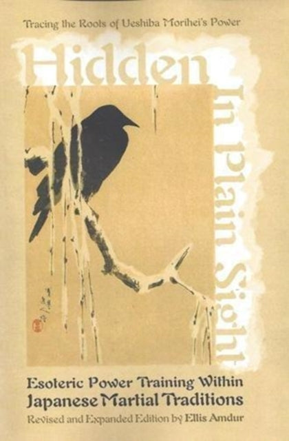 Book cover of: Hidden in Plain Sight. By: Freelance Academy Press