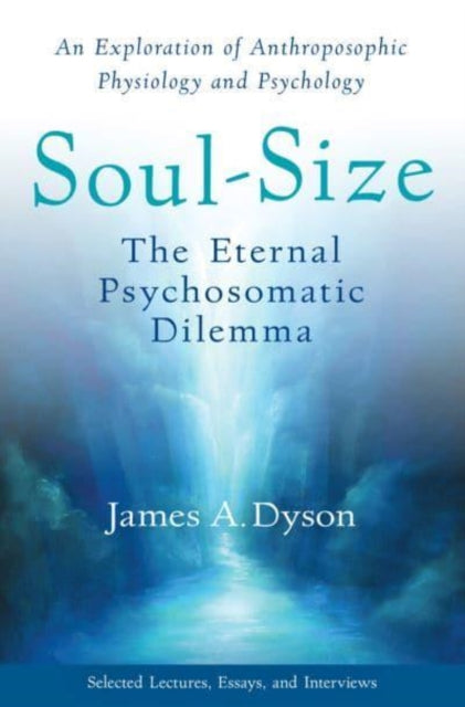 Book cover of: Soul-Size. By: James A. Dyson