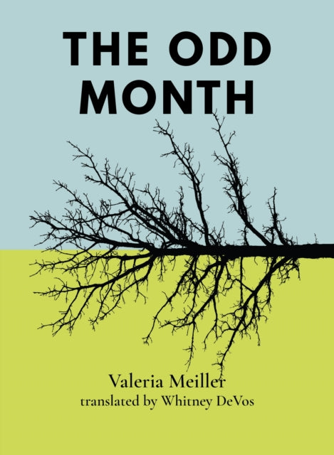 Book cover of: Odd Month. By: Valeria Meiller