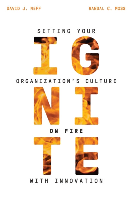 Book cover of: IGNITE