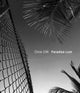 Book cover of: Chris Ofili: Paradise Lost. By: Chris Ofili