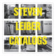 Book cover of: Steven Leiber. By: Steven Leiber
