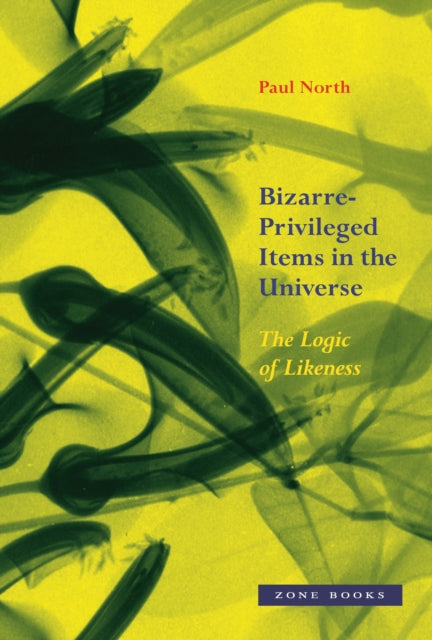 Book cover of: Bizarre–Privileged Items in the Universe – The Logic of Likeness. By: Paul North