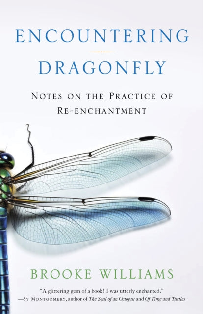 Book cover of: Encountering Dragonfly. By: Brooke Williams
