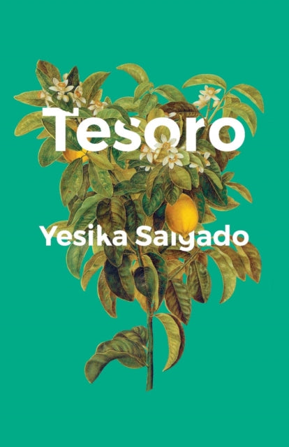 Book cover of: Tesoro. By: Yesika Salgado