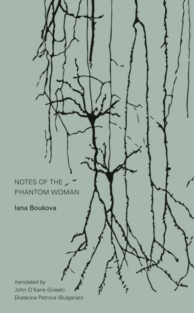 Book cover of: Notes of the Phantom Woman