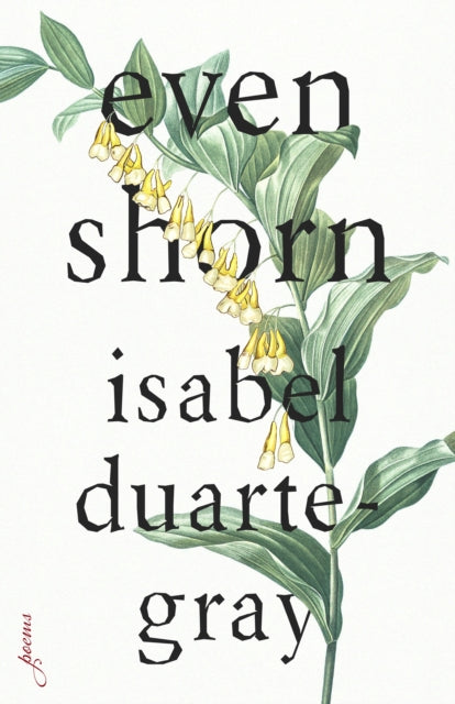 Book cover of: Even Shorn. By: Isabel Duarte-Gray