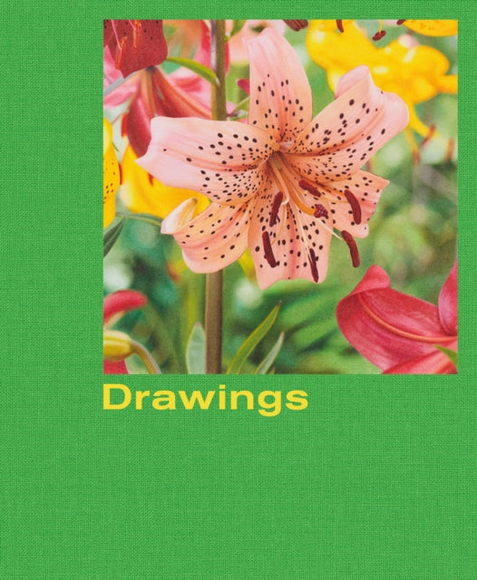 Book cover of: Mathew Cerletty: Drawings. By: Mathew Cerletty