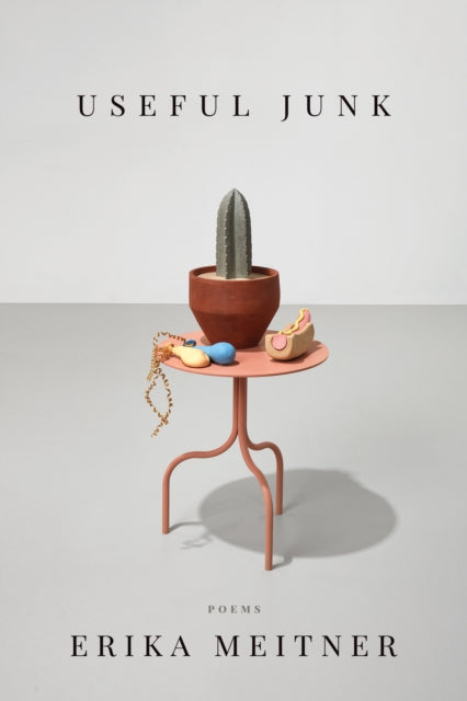 Book cover of: Useful Junk. By: Erika Meitner