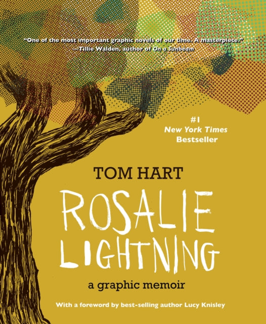 Book cover of: Rosalie Lightning