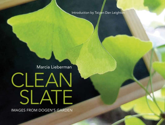 Book cover of: Clean Slate. By: Marcia Lieberman