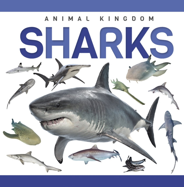 Book cover of: Sharks. By: Alex Hall