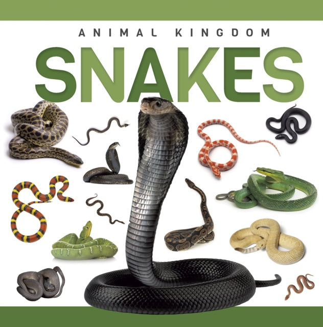 Book cover of: Snakes