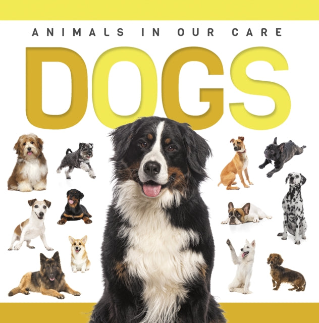 Book cover of: Dogs