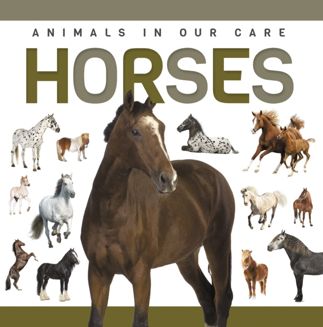 Book cover of: Horses