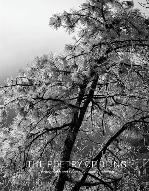 Book cover of: Poetry of Being. By: Lynne Buchanan