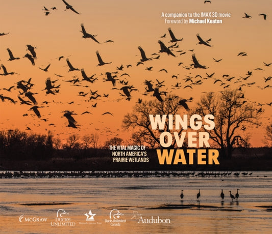 Book cover of: Wings Over Water. By: Chris Dorsey