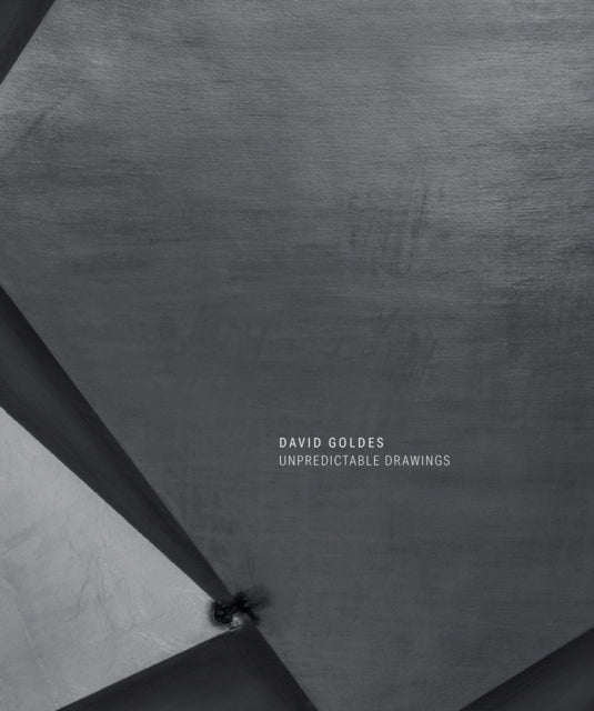 Book cover of: David Goldes: Unpredictable Drawings. By: David Goldes