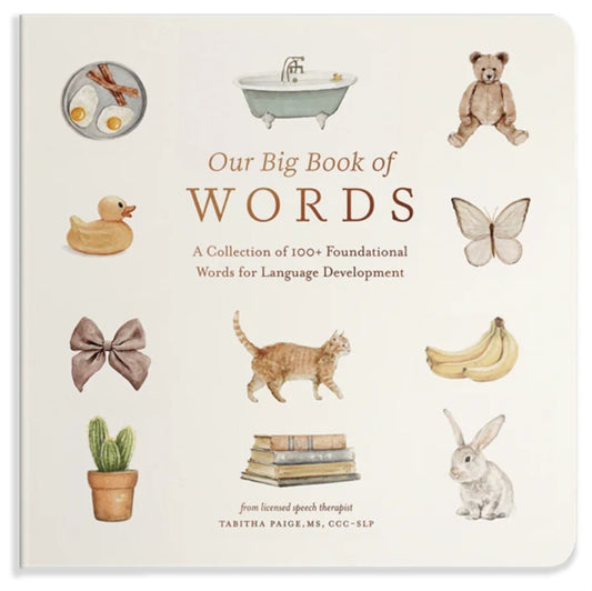 Our Big Book of Words, A Collection of 100+ Foundational Words for Language Development 9781958803875 Tabitha Paige