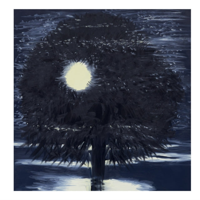 Book cover of: Ann Craven: Night. By: Ann Craven