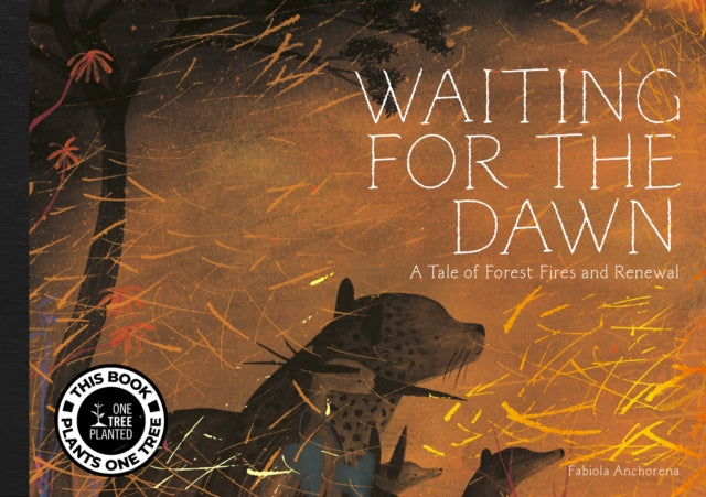 Book cover of: Waiting for The Dawn. By: Fabiola Anchorena