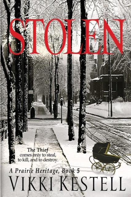 Book cover of: Stolen