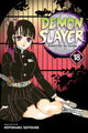 Demon Slayer: Kimetsu no Yaiba, Vol. 18 9781974717606 Koyoharu Gotōge