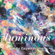 Book cover of: Luminous. By: Linda Dayan Frimer