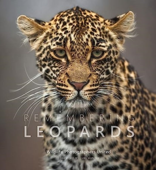 Book cover of: Remembering Leopards. By: Margot Raggett