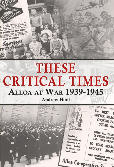 Book cover of: These Critical Times