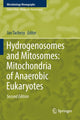 Book cover of: Hydrogenosomes and Mitosomes: Mitochondria of Anaerobic Eukaryotes. By: Jan Tachezy