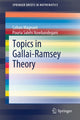Book cover of: Topics in Gallai-Ramsey Theory. By: Colton Magnant