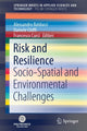 Book cover of: Risk and Resilience. By: Alessandro Balducci