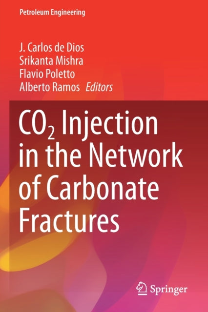 Book cover of: CO2 Injection in the Network of Carbonate Fractures. By: J. Carlos de Dios