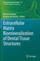 Book cover of: Extracellular Matrix Biomineralization of Dental Tissue Structures. By: Michel Goldberg