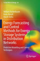 Book cover of: Energy Forecasting and Control Methods for Energy Storage Systems in Distribution Networks. By: William Holderbaum