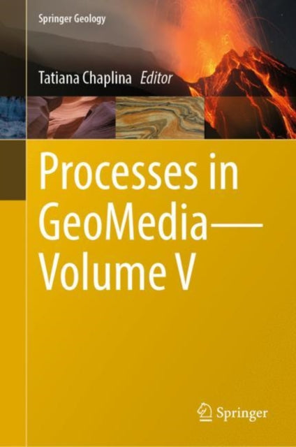 Book cover of: Processes in GeoMedia—Volume V. By: Tatiana Chaplina