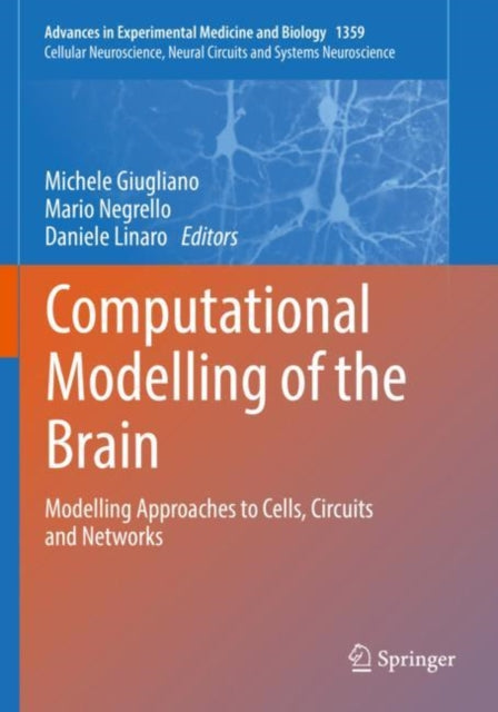 Book cover of: Computational Modelling of the Brain. By: Michele Giugliano