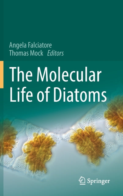Book cover of: Molecular Life of Diatoms. By: Angela Falciatore
