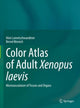 Book cover of: Color Atlas of Adult Xenopus laevis. By: Alois Lametschwandtner