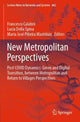 Book cover of: New Metropolitan Perspectives. By: Francesco Calabrò