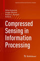 Book cover of: Compressed Sensing in Information Processing. By: Gitta Kutyniok