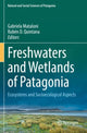 Book cover of: Freshwaters and Wetlands of Patagonia. By: Gabriela Mataloni