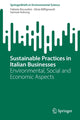 Book cover of: Sustainable Practices in Italian Businesses. By: Fabiola Riccardini