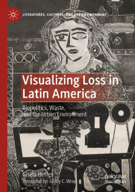 Book cover of: Visualizing Loss in Latin America. By: Gisela Heffes