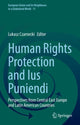 Book cover of: Human Rights Protection and Ius Puniendi. By: Lukasz Czarnecki