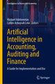 Book cover of: Artificial Intelligence in Accounting, Auditing and Finance
