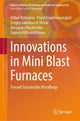 Book cover of: Innovations in Mini Blast Furnaces