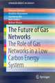 Book cover of: Future of Gas Networks. By: Meysam Qadrdan