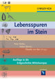 Book cover of: Lebensspuren im Stein. By: Peter Rothe
